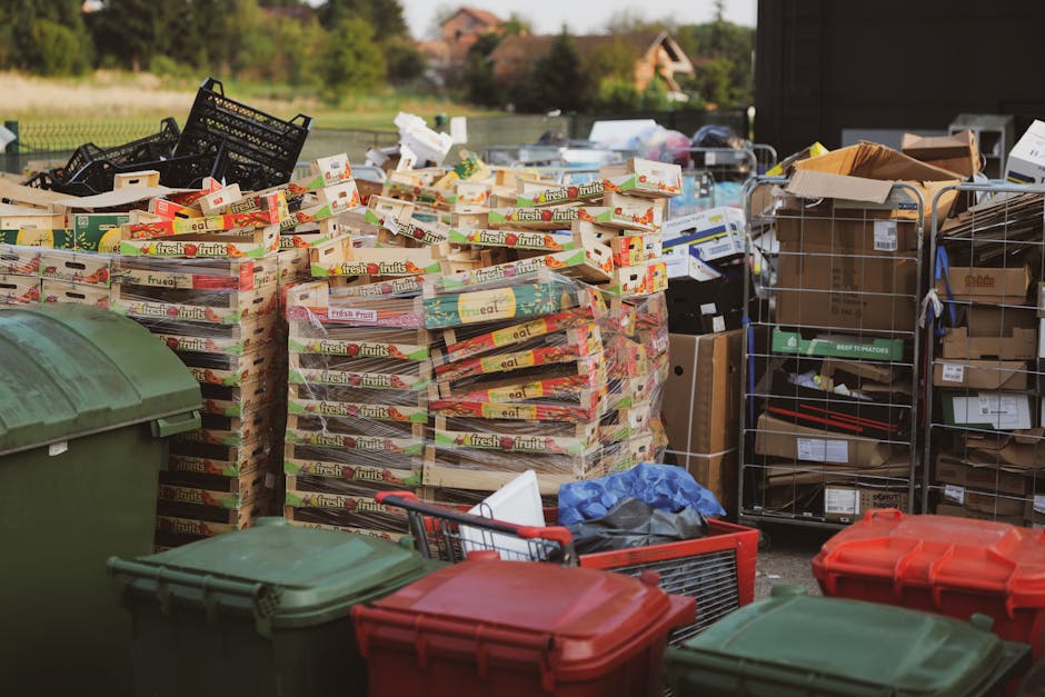 An outdoor scene shows a large quantity of stacked cardboard boxes filled with fresh fruit produce, likely ready for disposal or transportation, with some open cardboard cartons and loose packaging materials scattered around. To the right are metal wire racks and cardboard boxes containing various items, possibly packing materials or recycled waste, arranged on a paved surface. Several large plastic waste bins in green and red colors are positioned in the foreground, some with lids closed, others with open lids revealing contents. A section of a green waste container is visible on the left side of the image, while a portion of a vehicle or loading area may be partially seen in the background. This setting appears to be part of a home relocation or moving process, where items are being sorted for disposal, recycling, or transport, consistent with services offered by Man with Van Chase Cross specializing in removals and packing. The environment is well-lit, suggesting daytime, with a residential area visible in the distance.